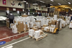 Ruptures d&rsquo;approvisionnement : les classes thérapeutiques à risque