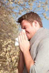 Allergie: l&rsquo;ambroisie arrive