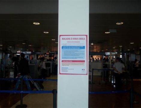 Vaccin contre Ebola : pas avant 2016 pour GSK