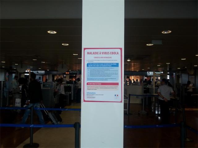 Vaccin contre Ebola : pas avant 2016 pour GSK