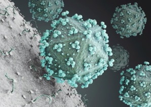 Sida : guérison par intégration du virus dans l&rsquo;ADN des patients ?