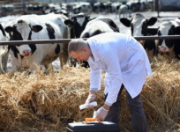 Antibiotiques à usage vétérinaire : satisfecit de l&rsquo;Anses