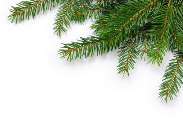 Vaccination par les pharmaciens : les aiguilles de l’expérimentation sentent le sapin