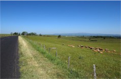 Territoires hyper-ruraux : un amendement préconise la liberté d’installation des officines.