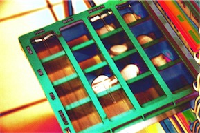 PDA : l’UNPF livre sa vision&nbsp;de la pratique à suivre