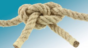 Coopération interprofessionnelle : le bureau de l’UNPS contesté