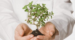 Sacs en plastique&nbsp;: la fin est officielle !