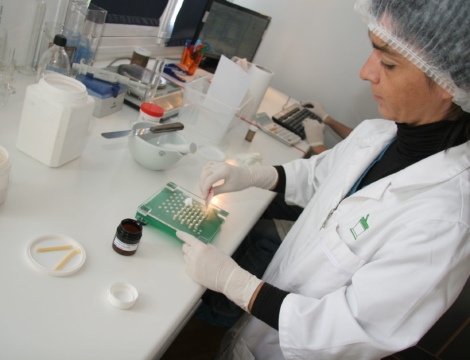 Capital des officines : de la place pour les préparateurs