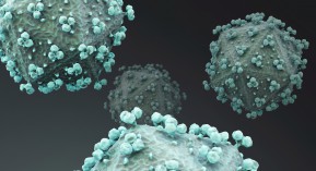 Antirétroviraux : disparition des lipodystrophies dans les RCP