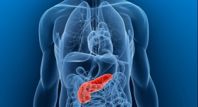 Cancer du pancréas : journée mondiale le 13 novembre