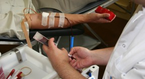 Don du sang après les attentats : les conditions à rappeler