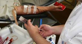 Don du sang : ouverture aux homosexuels en 2016