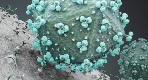 Hépatites B et C, VIH : l’INPES et l’InVs proposent une trousse d’auto-prélèvement