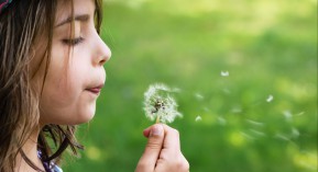 Pollens : des outils pour informer les patients