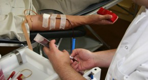 Don du sang : ouvert aux homosexuels