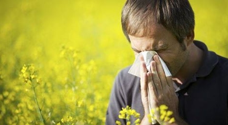 Amazon ouvre une boutique dédiée aux personnes allergiques