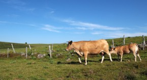 Déserts médicaux : une aide forfaitaire de 50 000 euros pour l’installation des jeunes