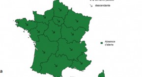 Grippe : fin de la surveillance