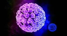 Vaccin HPV : pour certains hommes aussi ?