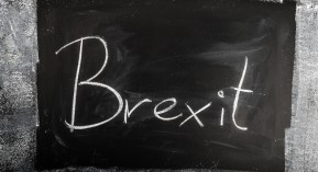 Déménagement de l&rsquo;EMA : Lyon candidate