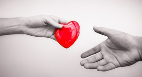 Dons d&rsquo;organes : les modalités du refus