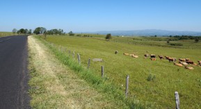Pharmacies rurales : l’UNPF propose une « mutualisation renforcée »
