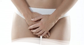 Estreva en gel : un retour pour fin 2016