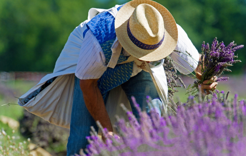 Transactions : en PACA, les vendeurs s’arcboutent sur leurs prix
