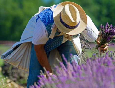 Transactions : en PACA, les vendeurs s’arcboutent sur leurs prix