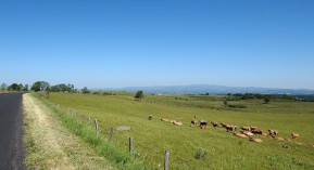Désertification médicale : l’association Soins coordonnés préconise le renouvellement d&rsquo;ordonnances en pharmacie
