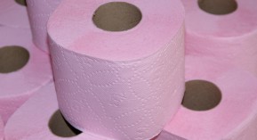 Epidémie de gastro : fausse alerte !