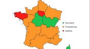 Grippe : début de l’épidémie en Bretagne et Ile-de-France