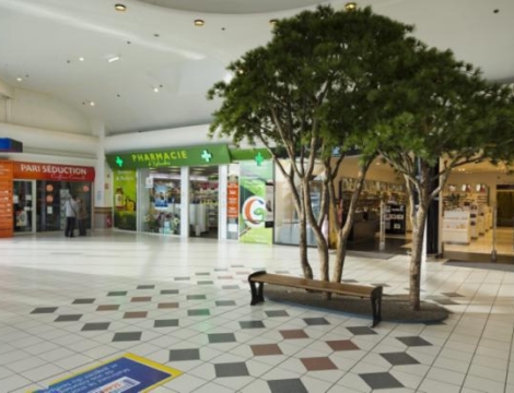 Projet d’ordonnance sur le réseau : les mesures dérogatoires concerneraient « les zones fragiles »