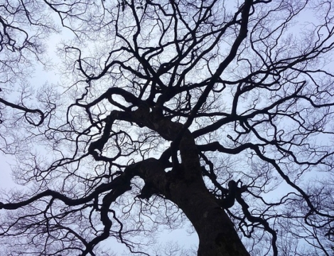 Droit des personnes en fin de vie : comment l’officine peut s’impliquer