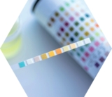 © ARMPL3171_C2_Infectionsurinaires.qcd-60-image_I1 - Getty Images iStockphoto