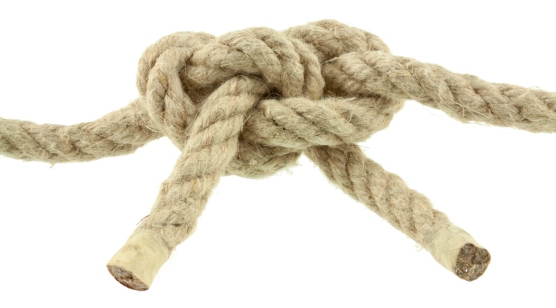 Achats : 6 groupements nationaux s’unissent pour mieux négocier