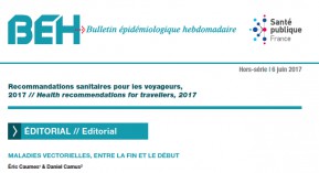 Voyageurs : nouvelles recommandations annuelles du BEH