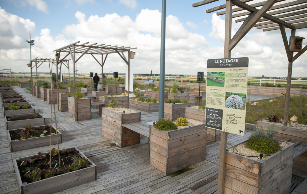 Carrefour : des projets d&rsquo;agriculture urbaine