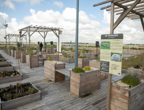 Carrefour : des projets d&rsquo;agriculture urbaine