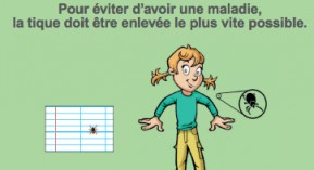 Tiques : une brochure pour les enfants