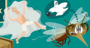 Chikungunya : sensibilisez vos patients pour éviter la prolifération du moustique tigre