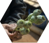 © ARMPL3192_C2_CO-Lesopiaces.qcd-60-image_I1 - oneclearvisionGettyImagesiStockphoto