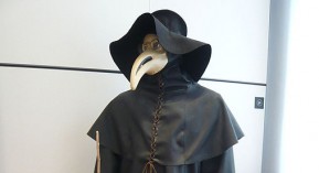 Peste à Madagascar : quels risques en France ?