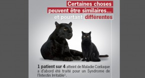 Intolérance au gluten : une campagne d’information