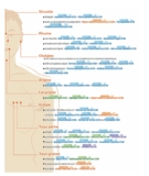 © ARMPL3195_C2_CC-HomeoHiver.qcd-Art1_30-Encadre-Image_E7