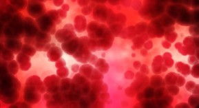 Don du sang et VIH : la notion de « fenêtre silencieuse » mal identifiée