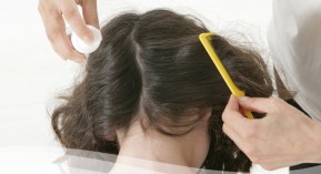 Toxicité des huiles essentielles : « 60 Millions de consommateurs » s’attaque à la lavande et à l’arbre à thé