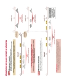 © ARMPL3211_C2_BilanMedication2-TheoriePratique.qcd-Art1_30-Encadre-Image_E6
