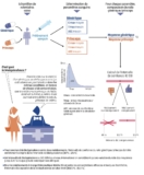 © ARMPL3212_TF_Economie-Generiques-2018.qcd-Art1_30-Encadre-Image_E3