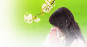 Traitements de désensibilisation allergique : mobilisation de la Fédération française d’allergologie